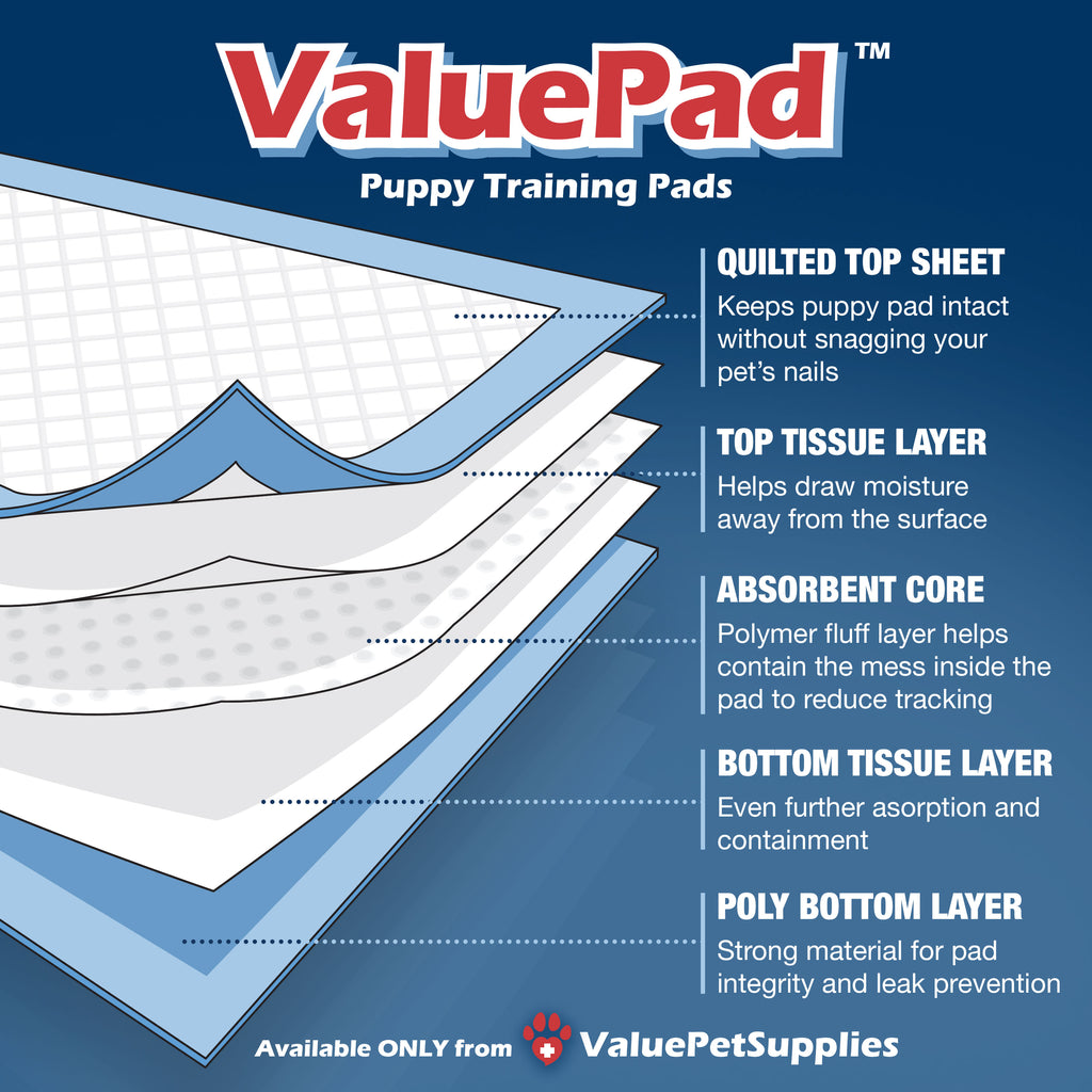 ValuePad Puppy Pads, Medium 23x24 Inch, Economy, 224 Count - Training Pads for Dogs, Leak Proof 5-Layer Design, Perfect for Puppies, Smaller Dogs 