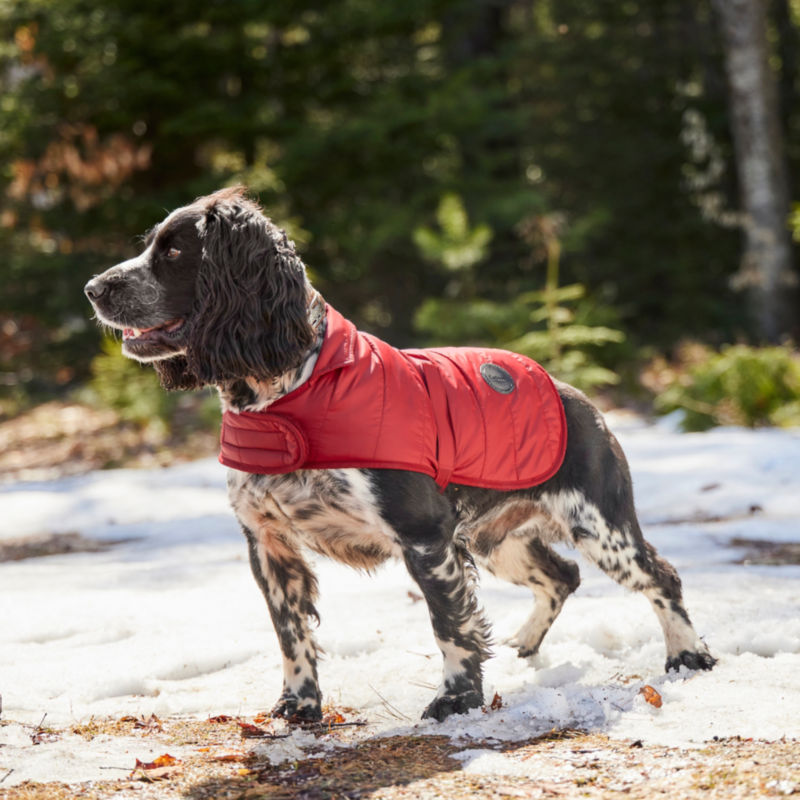 Barbour Baffle Quilted Dog Jacket