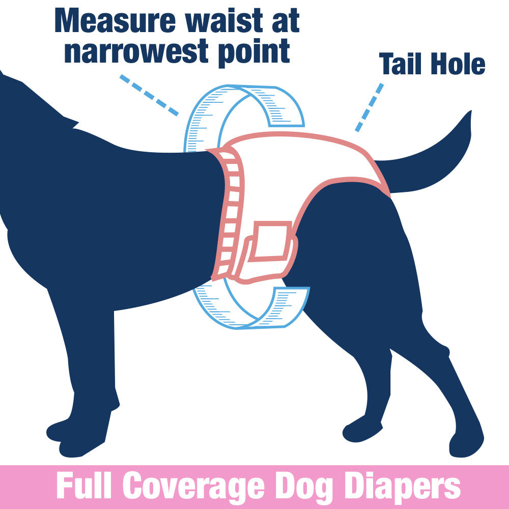 ValueFresh Female Dog Disposable Diapers, Small, 144 Count - Full Coverage w/Tail Hole, Snag-Free Fasteners, Leak Protection, Wetness Indicator 